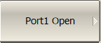 Port1 Open