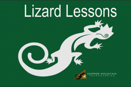 Lizard Lessons generic logo
