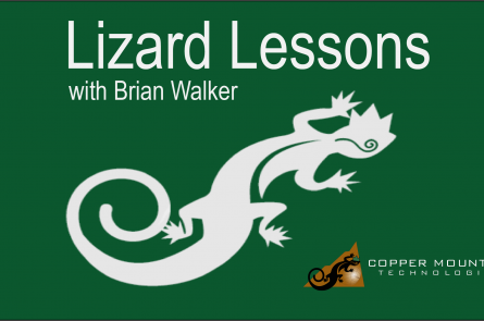 Lizard Lessons Logo Brian Walker V2