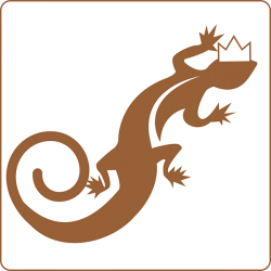 CMT25-VNA LOGO COPPER LIZARD OL_FA_600x600 CMT VNA Software